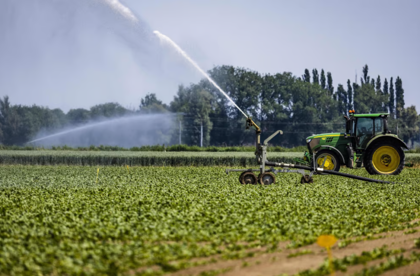  KI fogja Európát etetni? 5,3 millió gazdaság szűnt meg az EU-ban 15 év alatt