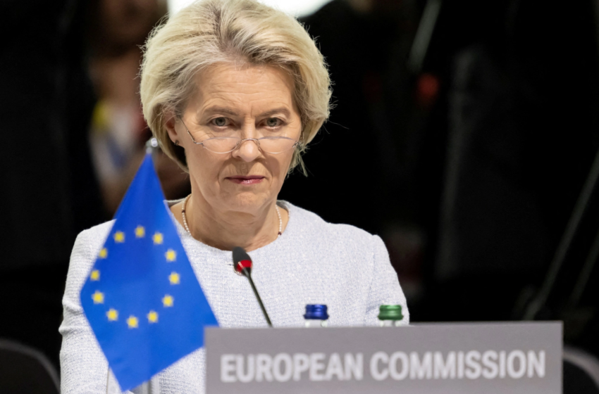  Von der Leyen az Európai Parlamentre bízza, hogy szétválassza a búzát a pelyvától