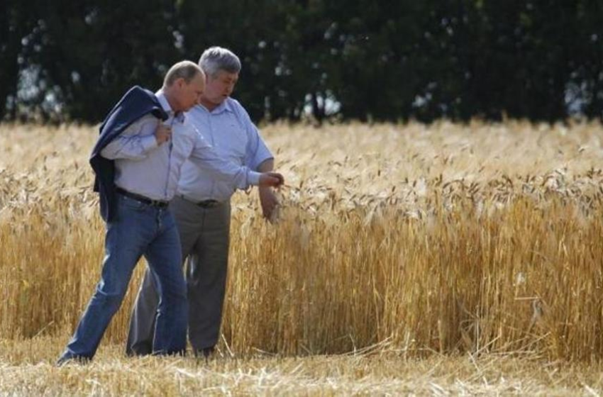  Az EU vámot vet ki az orosz mezőgazdasági termékekre